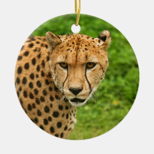 Cheetah Keramisch Ornament (Voorkant)