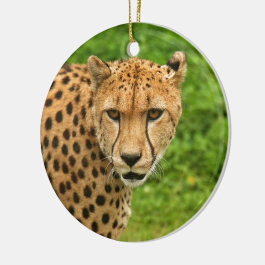 Cheetah Keramisch Ornament (Links)