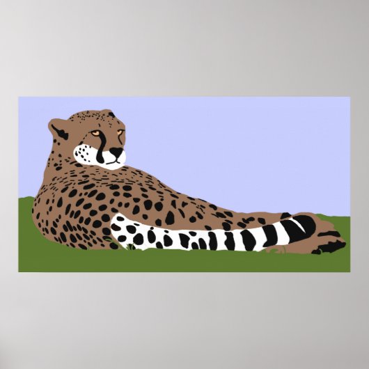 cheetah kijkt en onderaan poster (Voorkant)
