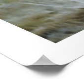 Cheetah Kisses Wildlife Poster (Hoek)