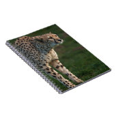 Cheetah klaar om te springen notitieboek (Rechterzijde)