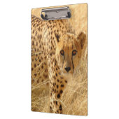 Cheetah/klembord Klembord (Links)