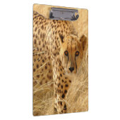 Cheetah/klembord Klembord (Rechts)