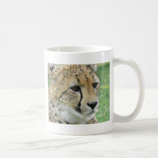 Cheetah Koffiemok