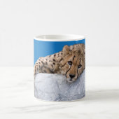 Cheetah Koffiemok (Center)