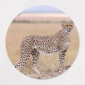 Cheetah Labels (Design 2)