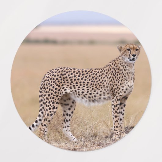 Cheetah Labels (Design 2)