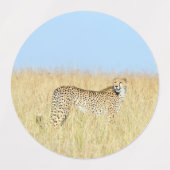 Cheetah Labels (Design 1)