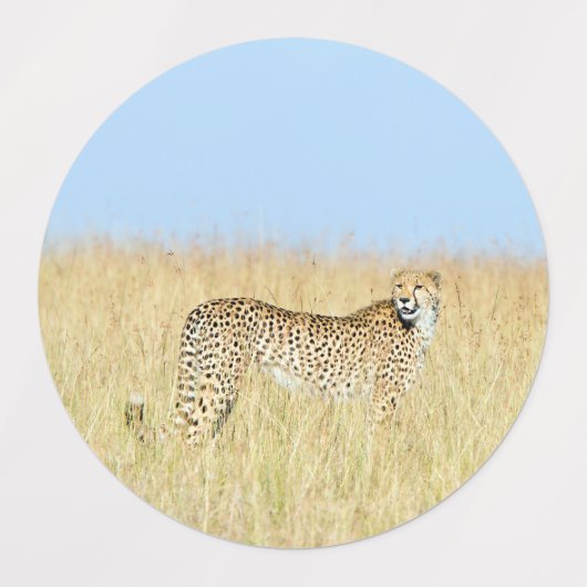 Cheetah Labels (Design 1)