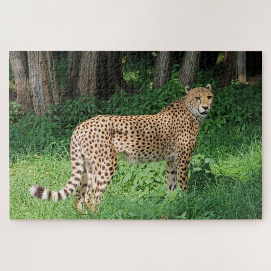 Cheetah Legpuzzel (Horizontaal)
