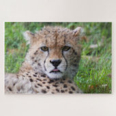 Cheetah Legpuzzel (Horizontaal)