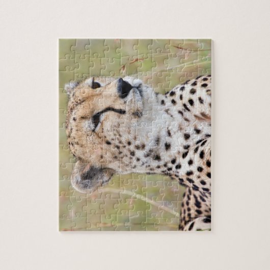 Cheetah Legpuzzel (Verticaal)