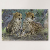 Cheetah Legpuzzel (Horizontaal)