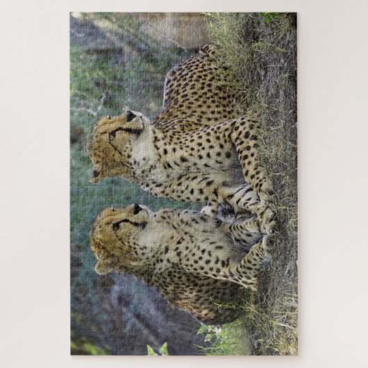 Cheetah Legpuzzel (Verticaal)