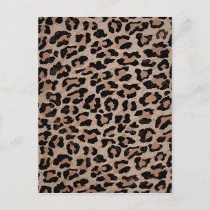 cheetah leopard briefkaart