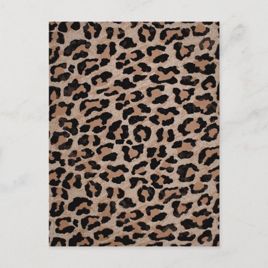 cheetah leopard briefkaart (Voorkant)