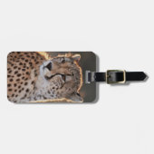 Cheetah looking away bagagelabel (Voorkant horizontaal)