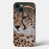 Cheetah looking away Case-Mate iPhone case (Achterkant)