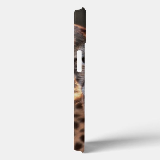 Cheetah looking away Case-Mate iPhone case (Achterkant / Rechts)