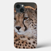 Cheetah looking away Case-Mate iPhone case (Achterkant)
