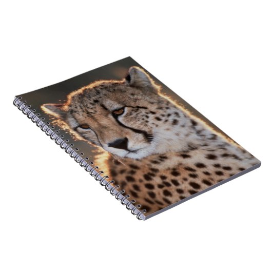 Cheetah looking away notitieboek (Rechterzijde)