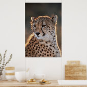 Cheetah looking away poster (Keuken)