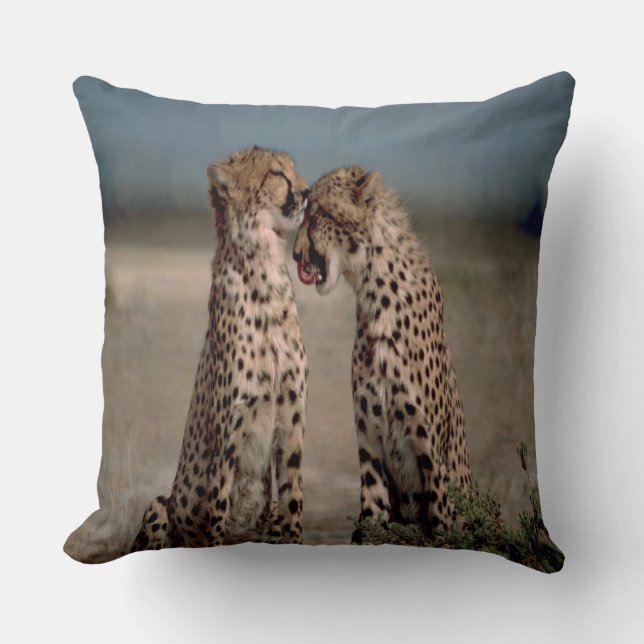 Cheetah Love Kussen (Voorkant)