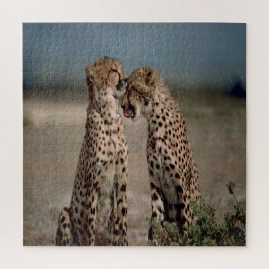 Cheetah Love Legpuzzel (Verticaal)