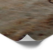 Cheetah Love Poster (Hoek)