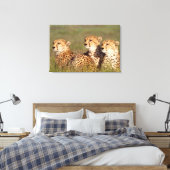 Cheetah Lying in Grass, Ngorongoro Conservation Canvas Afdruk (Insitu (Slaapkamer))