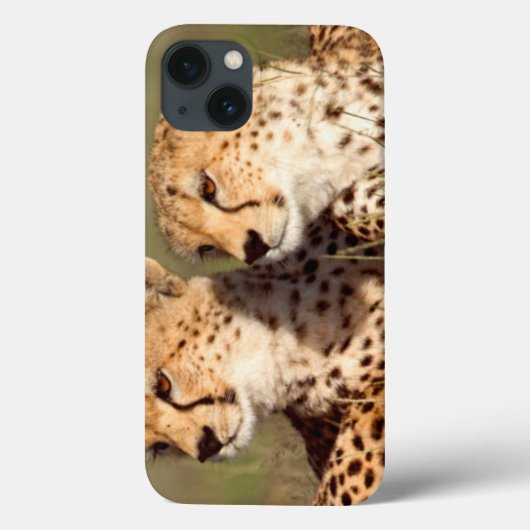 Cheetah Lying in Grass, Ngorongoro Conservation Case-Mate iPhone Case (Achterkant)