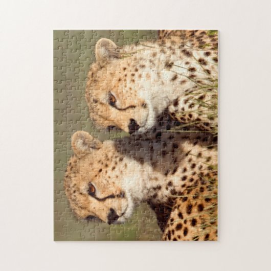 Cheetah Lying in Grass, Ngorongoro Conservation Legpuzzel (Verticaal)