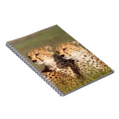 Cheetah Lying in Grass, Ngorongoro Conservation Notitieboek (Rechterzijde)