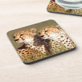 Cheetah Lying in Grass, Ngorongoro Conservation Onderzetter (Linkerzijde)