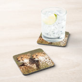 Cheetah Lying in Grass, Ngorongoro Conservation Onderzetter (Rechterzijde)