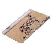 Cheetah Magneet (Linkerzijde)