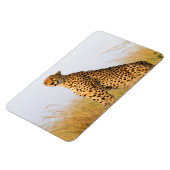 Cheetah Magneet (Linkerzijde)
