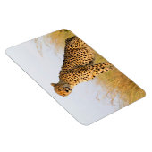 Cheetah Magneet (Rechterzijde)