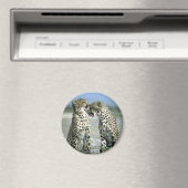 cheetah magneet (Insitu (Vaatwasser))