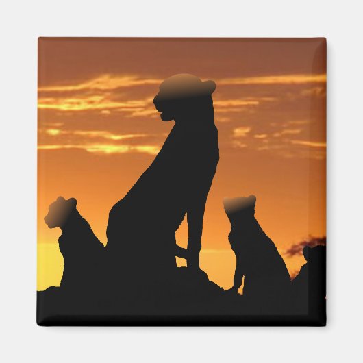 Cheetah Magneet (Voorkant)