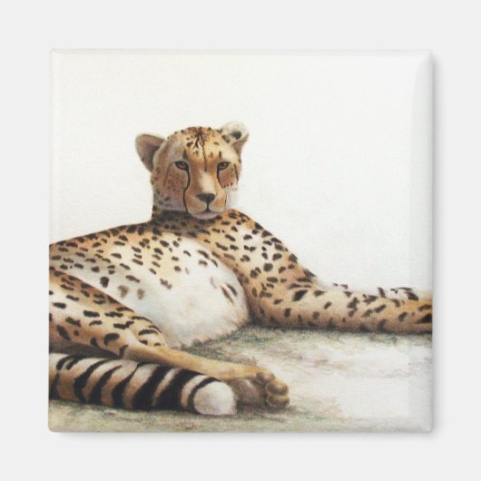 Cheetah Magneet (Voorkant)