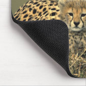 Cheetah Mam en Cub Mousepad Muismat (Hoek)