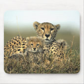 Cheetah Mam en Cub Mousepad Muismat (Voorkant)