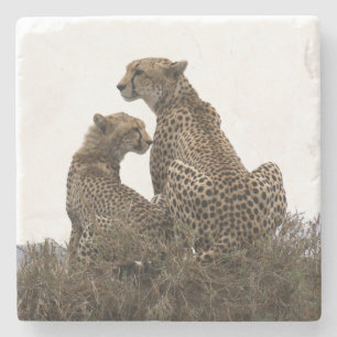 Cheetah Mam en Cub Stone Onderzetter