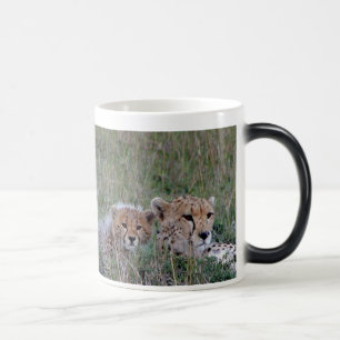 Cheetah met kubusMok Magische Mok