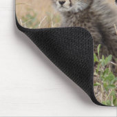 Cheetah Moeder en Cub Muismat (Hoek)