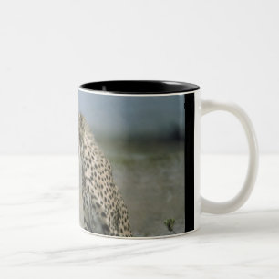 Cheetah Mok