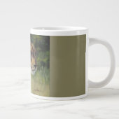 Cheetah Mok (Rechts)