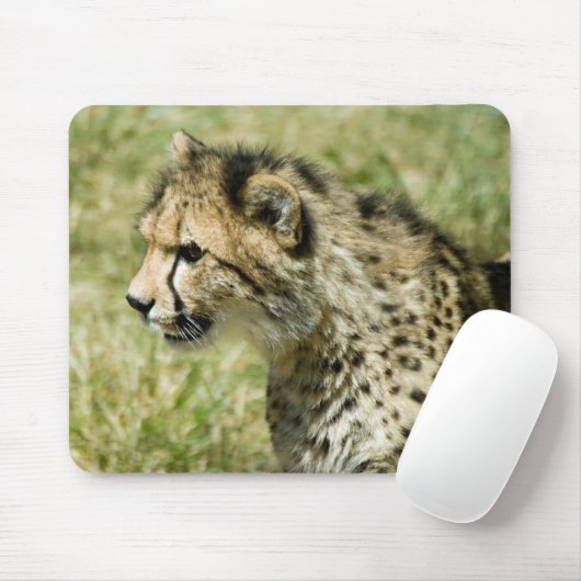 Cheetah Muismat (Met muis)