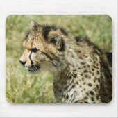 Cheetah Muismat (Voorkant)